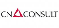 CN-Consult GmbH logo
