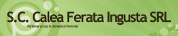 CFI Calea Ferata Ingusta SRL logo